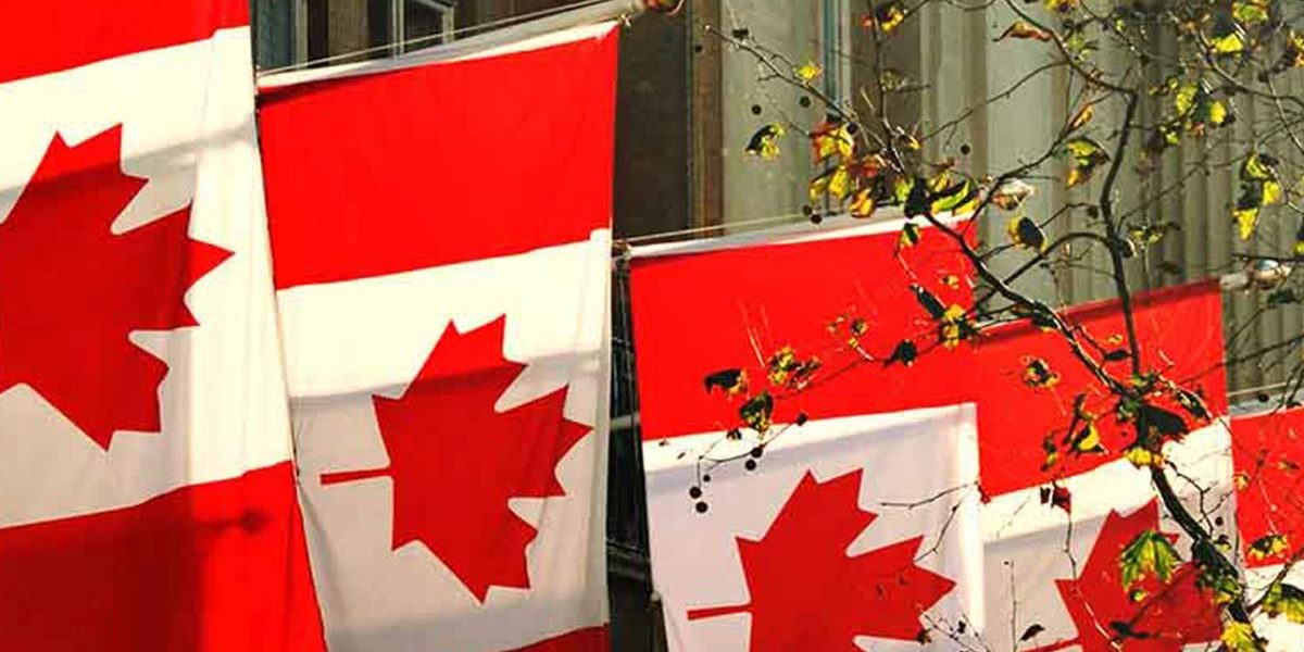 The IRCC notice reveals outcomes of partner gatherings for MNP