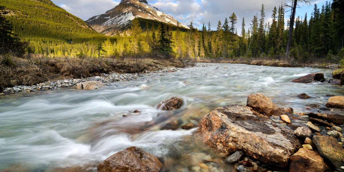 Alberta to make related changes for PNP
