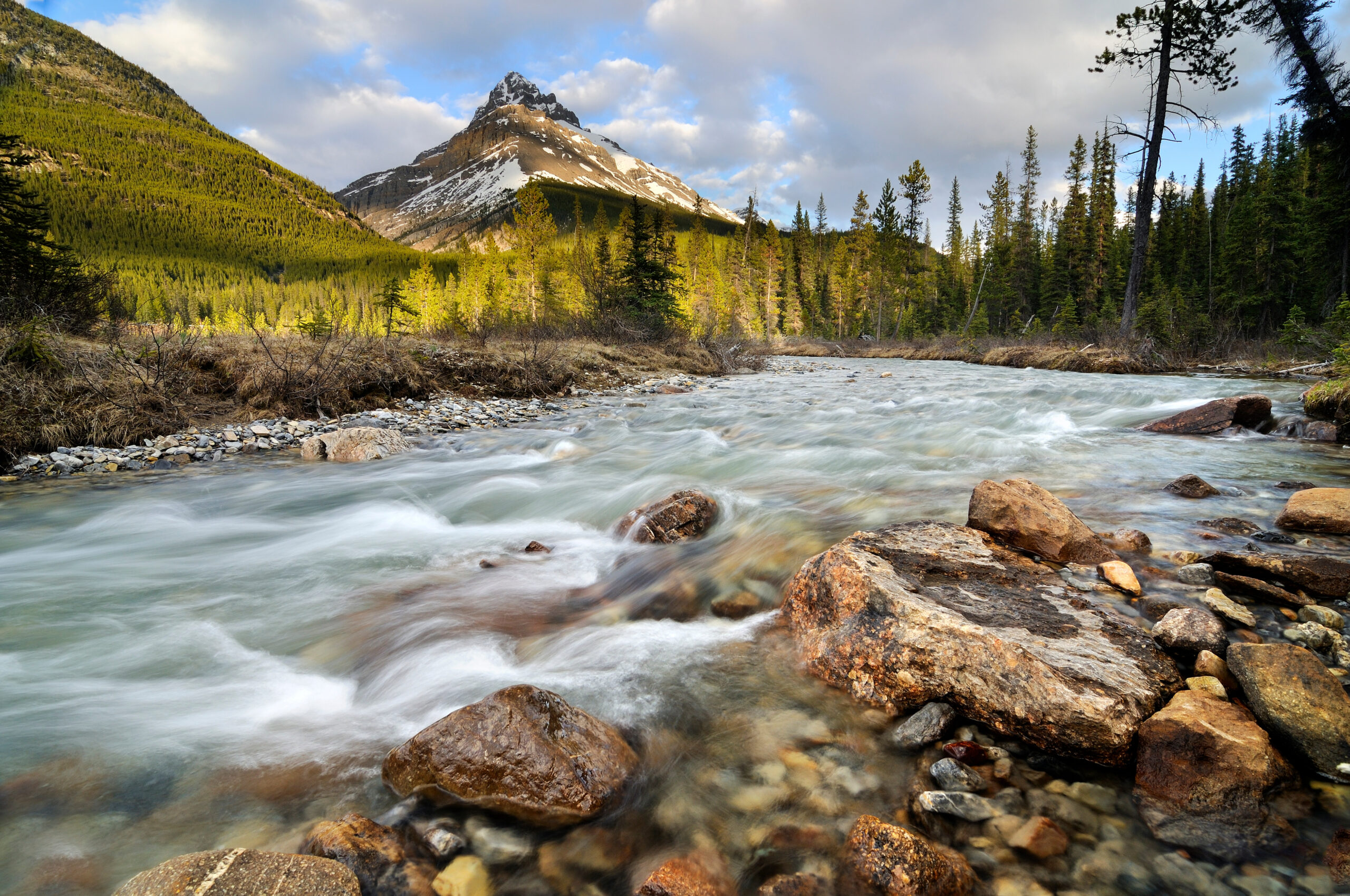 Alberta to make related changes for PNP