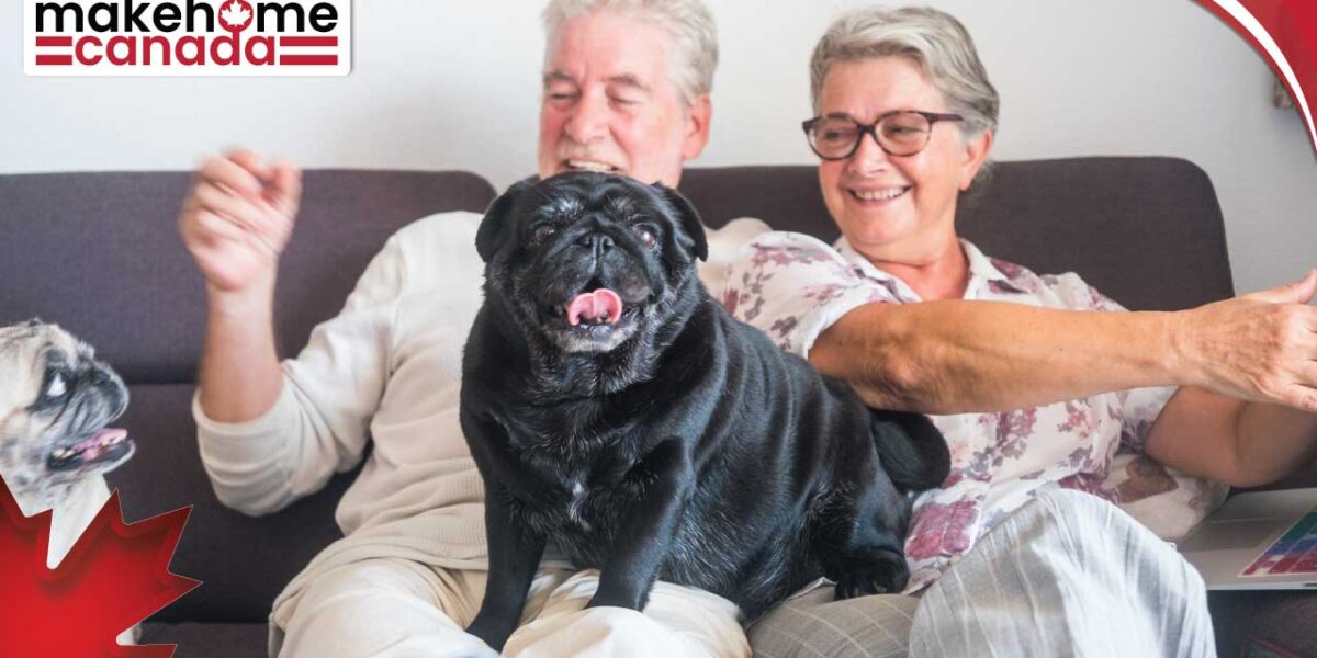 Moving pets to Canada for newcomers