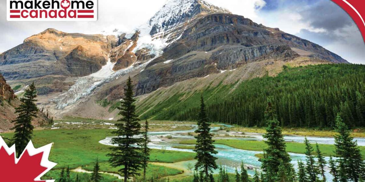Navigating the Process of Accepting a Provincial Nomination