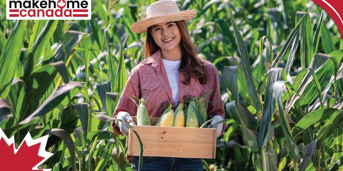 The latest Express Entry draw occurred for Agricultural occupations
