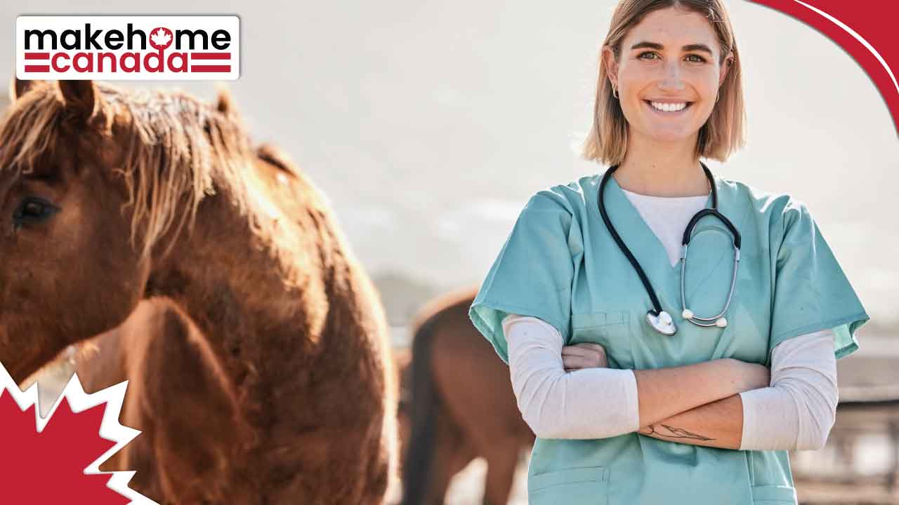 The complete process of Canadian immigration as a Veterinarian