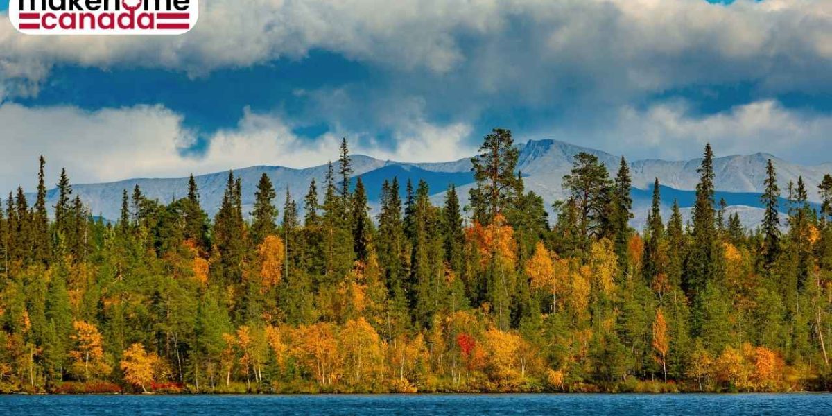 first Express Entry draw in February invites PNP candidates